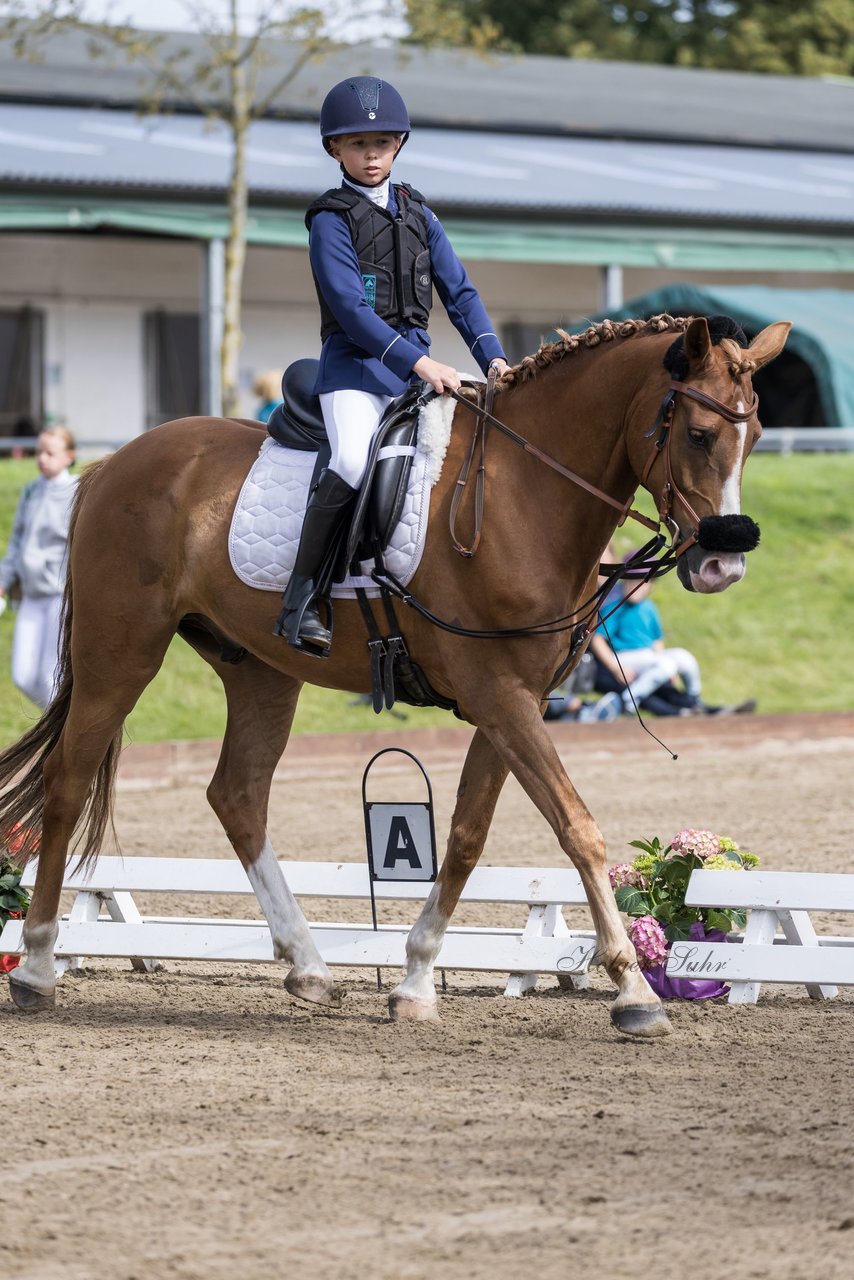 Bild 67 - Pony Akademie Turnier